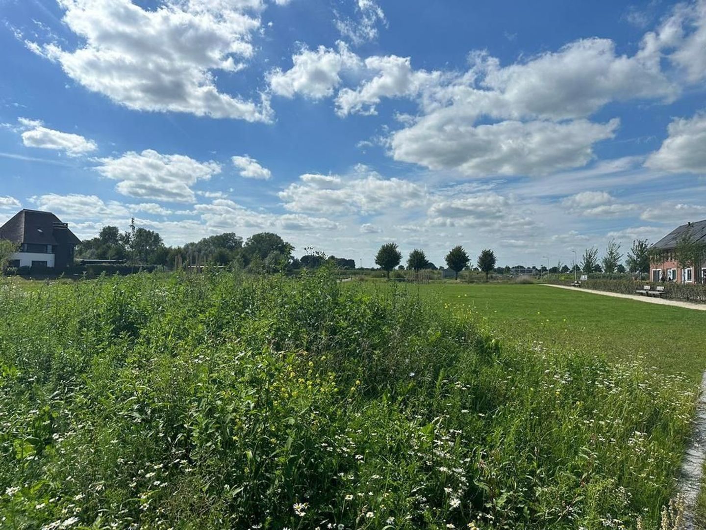 Boomwal 11, Nijkerk foto-43