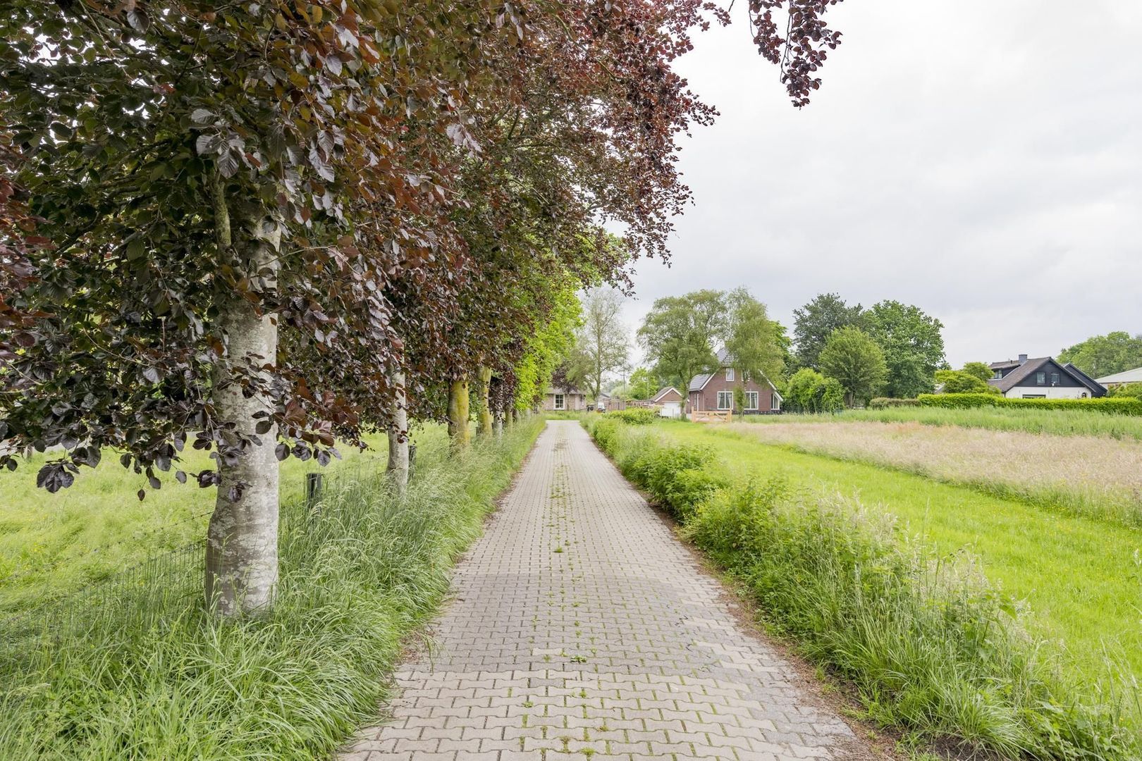 Schoolstraat 63, Nijkerkerveen foto-42