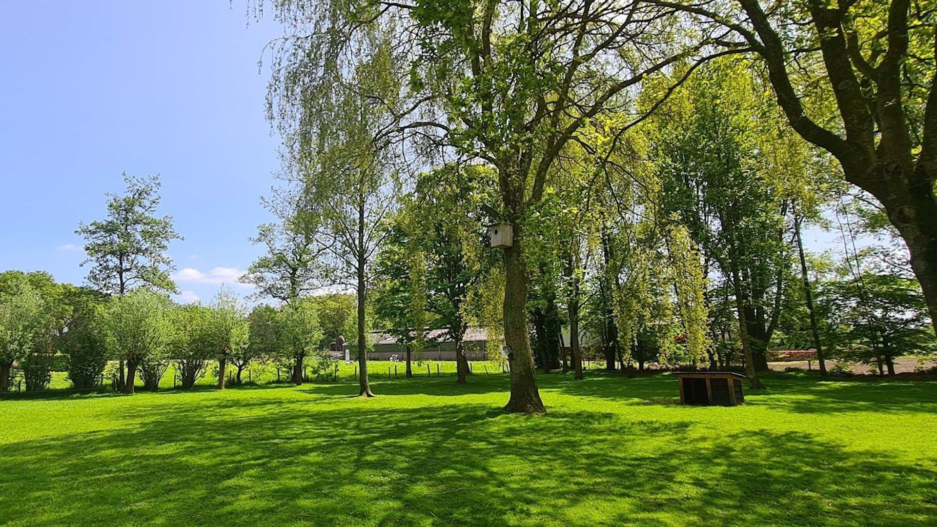 Beulekampersteeg 55, Putten foto-40