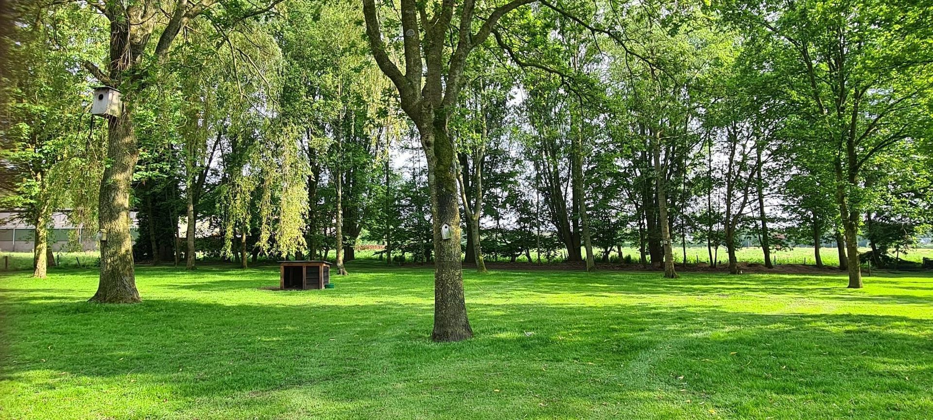 Beulekampersteeg 55, Putten foto-39