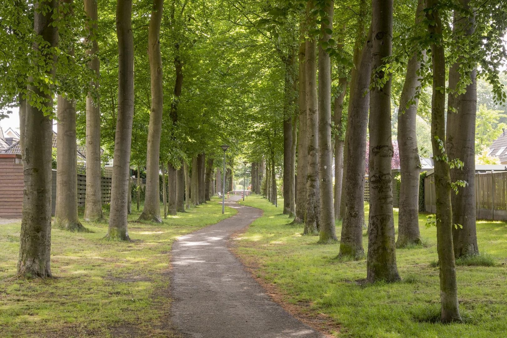Hoofdlaan 4, Putten foto-41