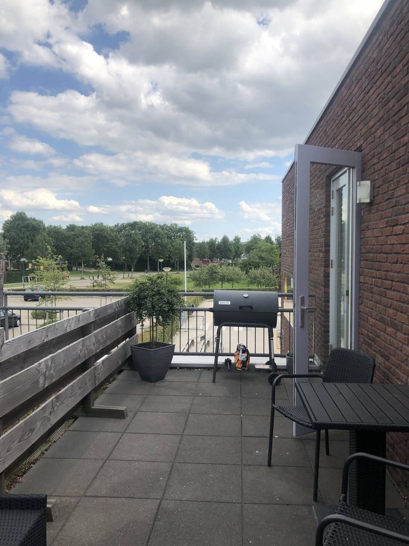 Zonnehout, Houten foto-10