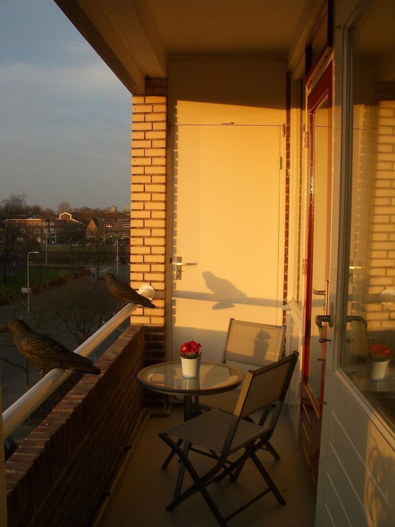 Ravellaan, Utrecht foto-11