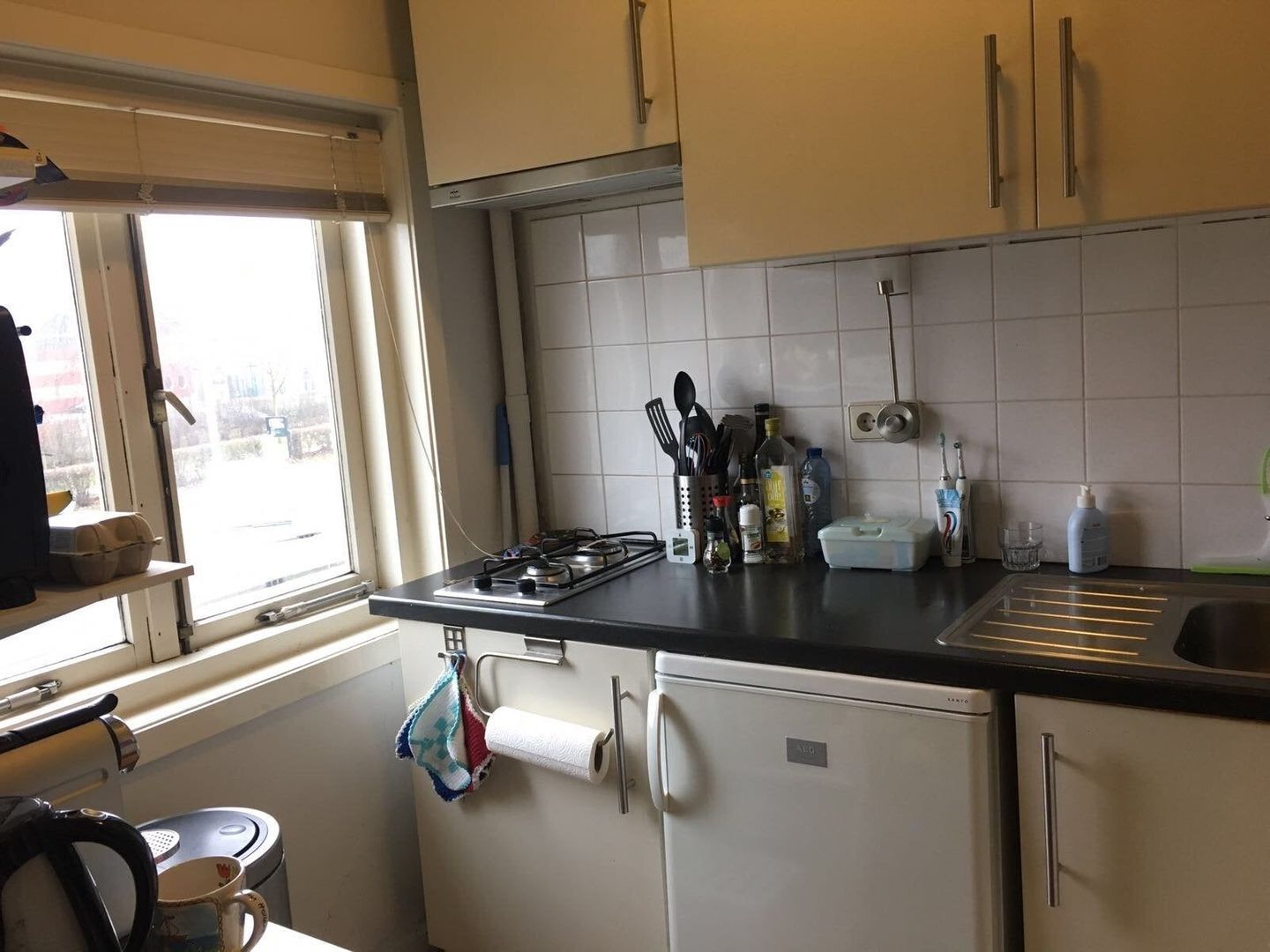 Pieter Nieuwlandstraat, Utrecht foto-4