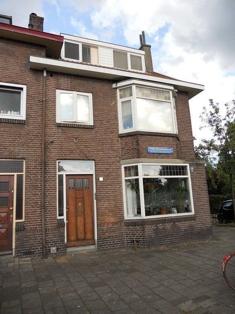 Pieter Nieuwlandstraat, Utrecht foto-0