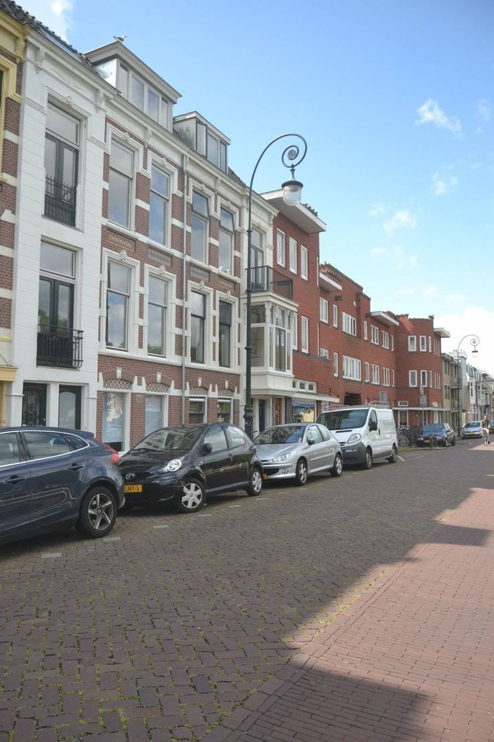 Leidseweg, Utrecht foto-13