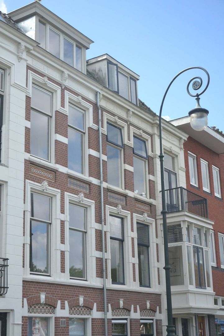 Leidseweg, Utrecht foto-0
