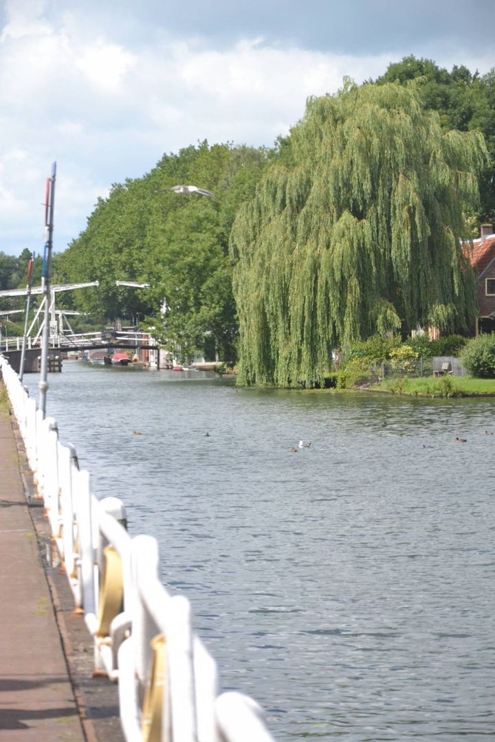 Leidseweg, Utrecht foto-20