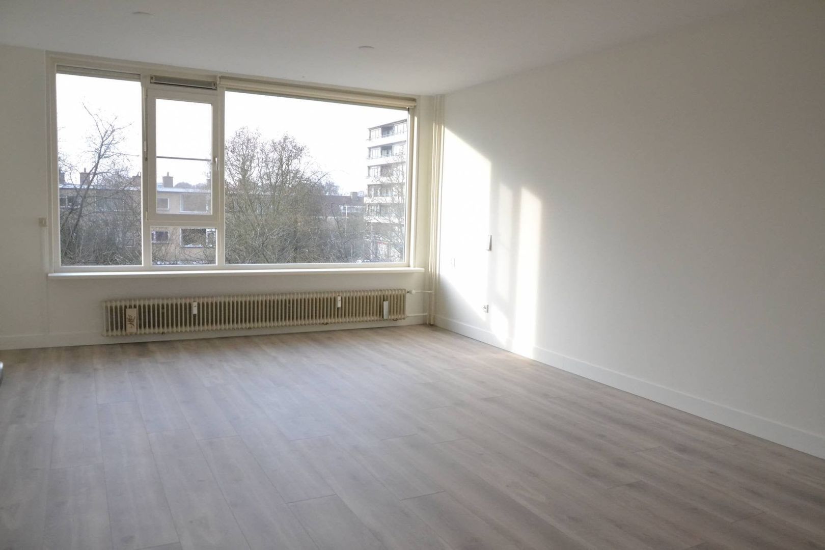 Fruinplantsoen, Utrecht foto-3
