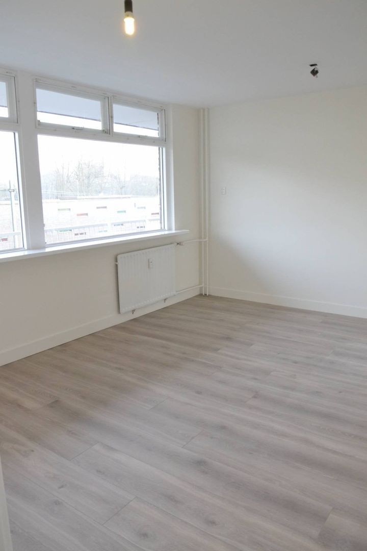 Fruinplantsoen, Utrecht foto-7