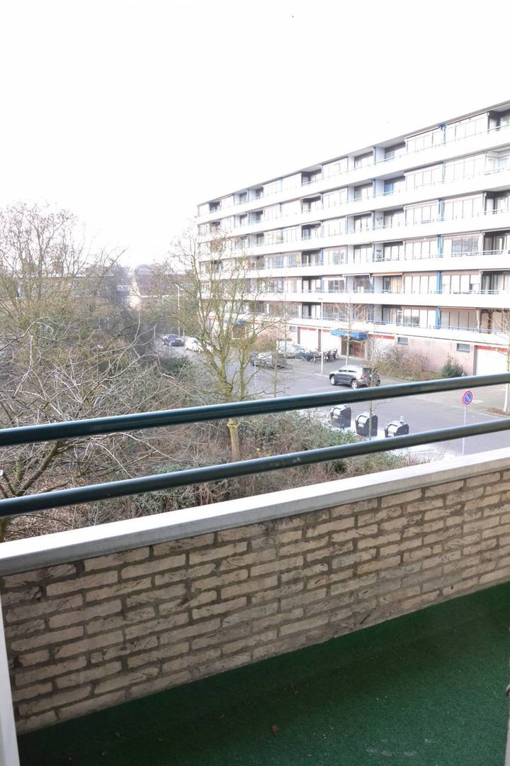 Fruinplantsoen, Utrecht foto-12