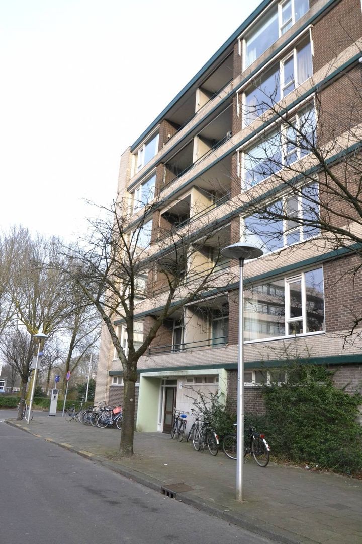 Fruinplantsoen, Utrecht foto-0