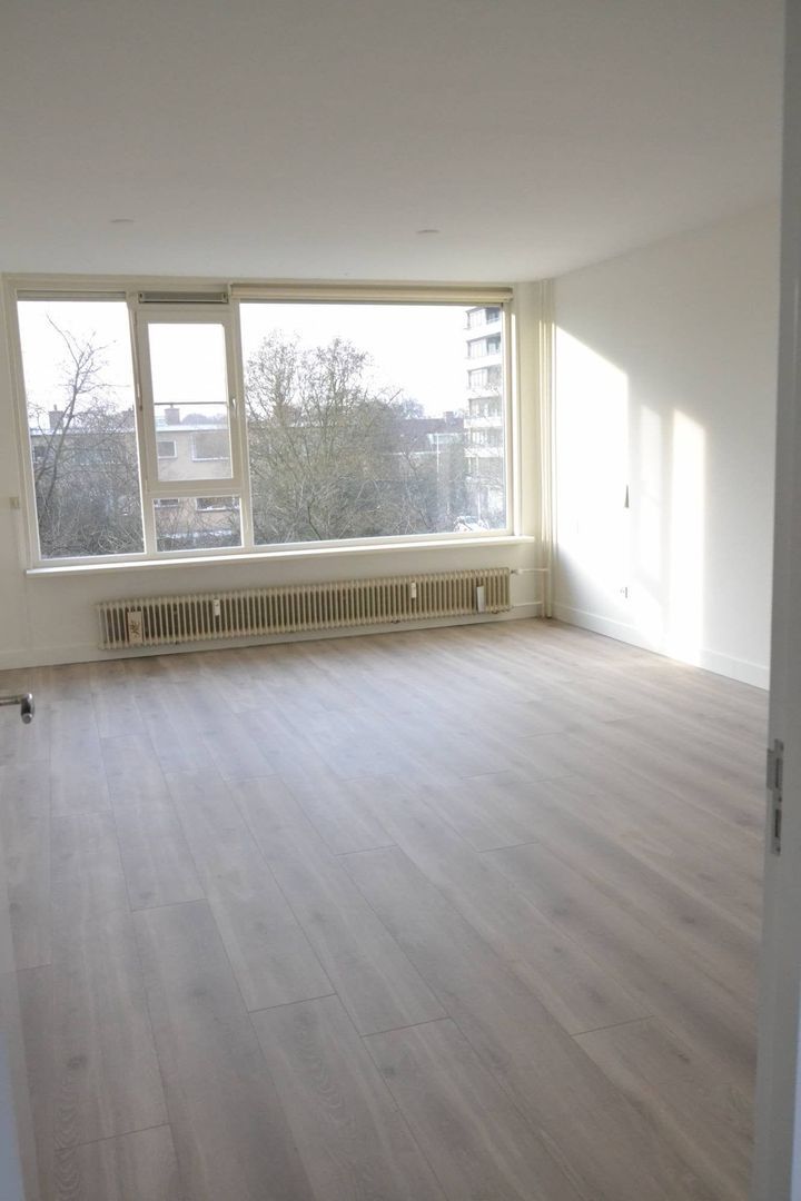 Fruinplantsoen, Utrecht foto-2