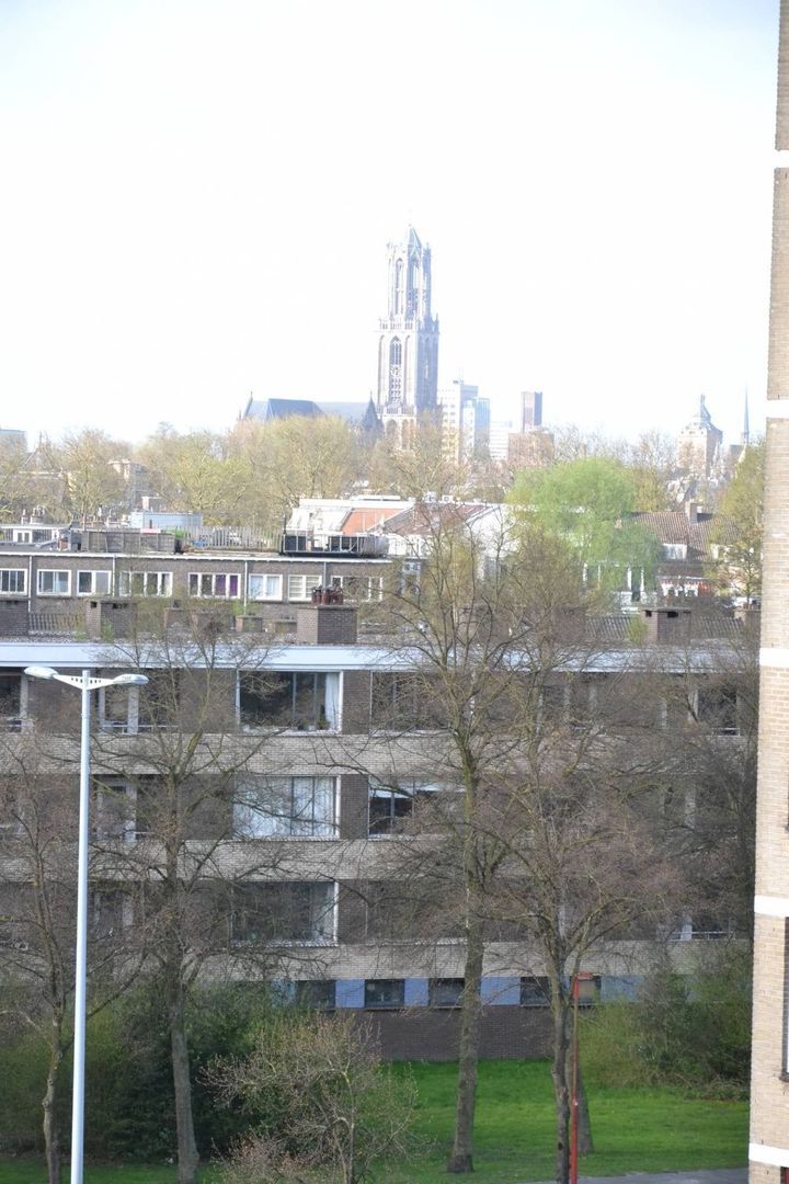 Fruinplantsoen, Utrecht foto-15
