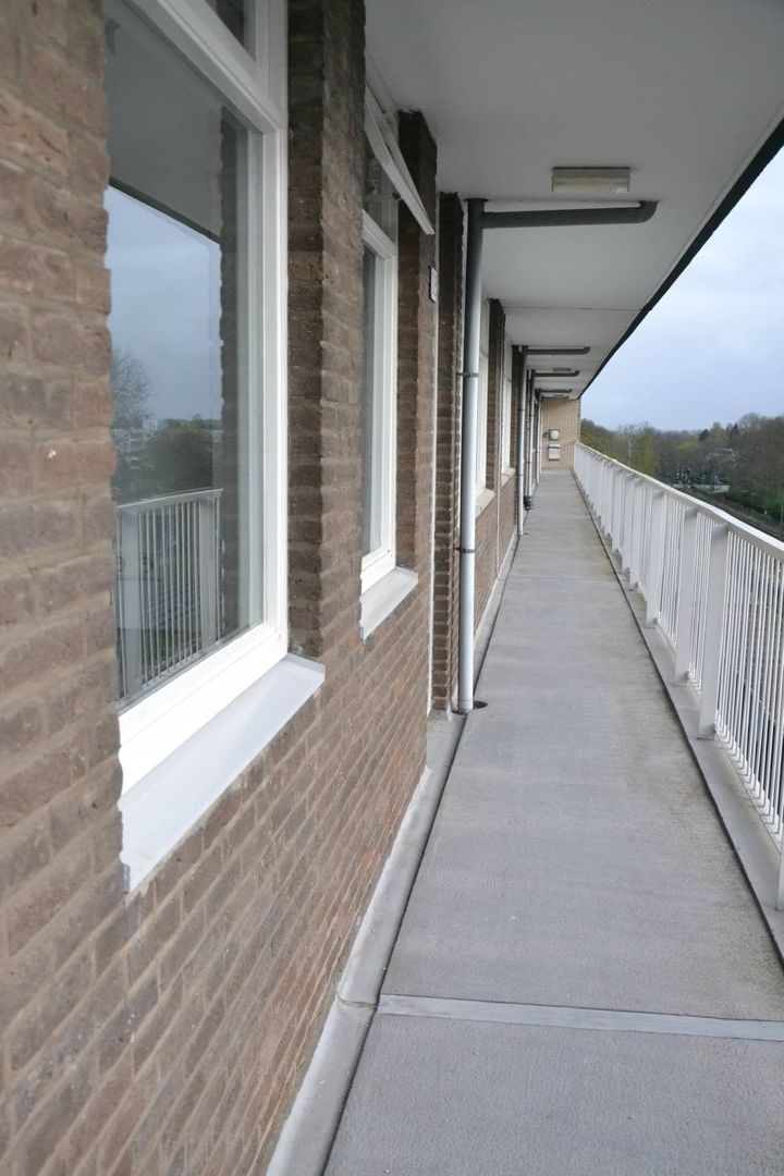 Fruinplantsoen, Utrecht foto-16