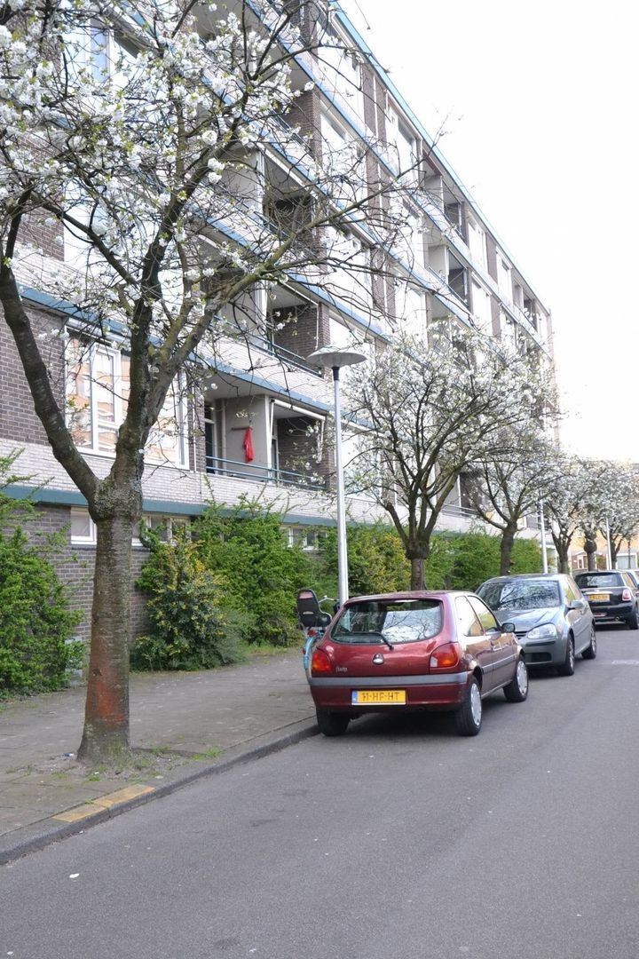 Fruinplantsoen, Utrecht foto-20