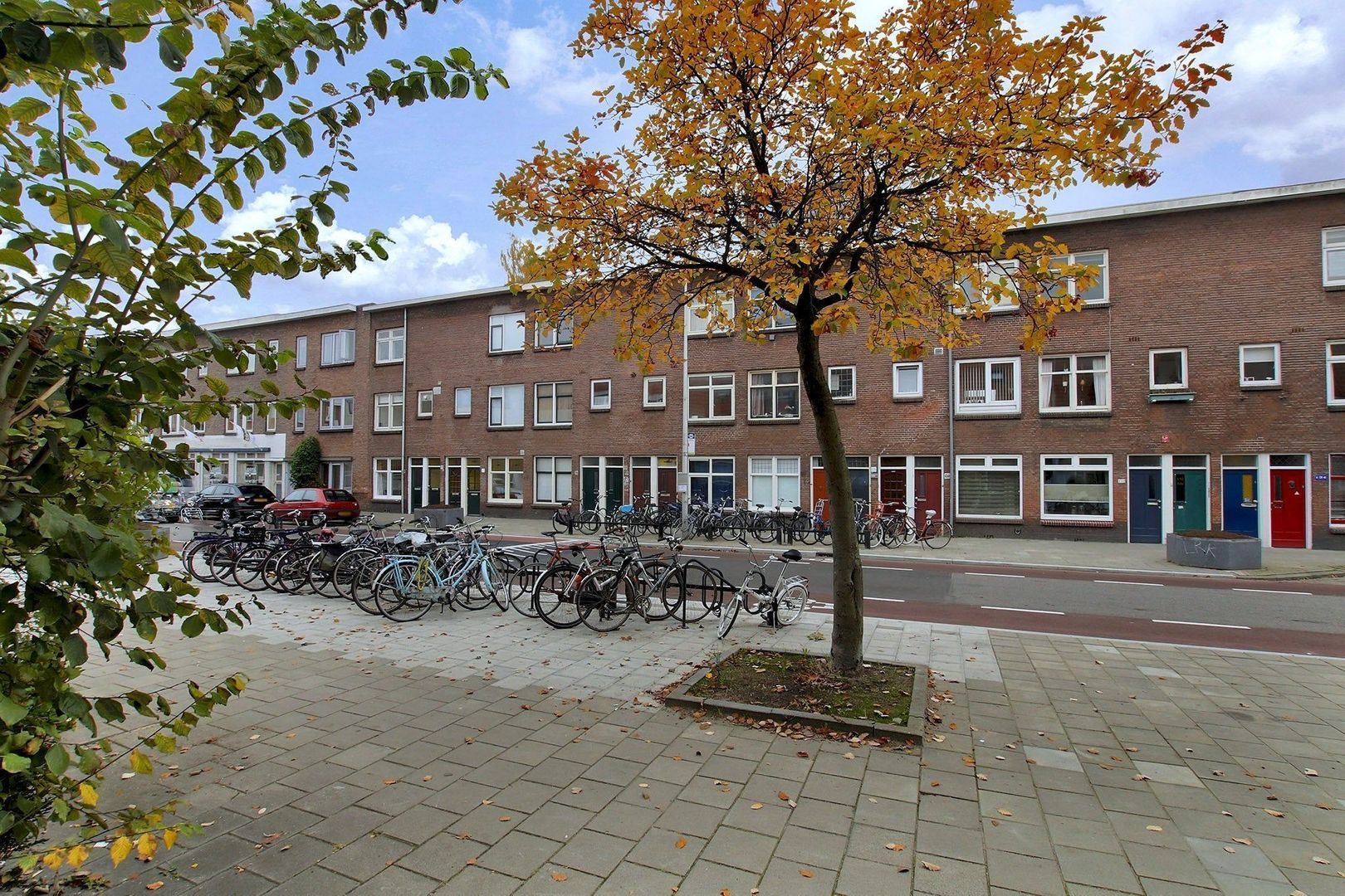 Laan van Nieuw-Guinea, Utrecht foto-1
