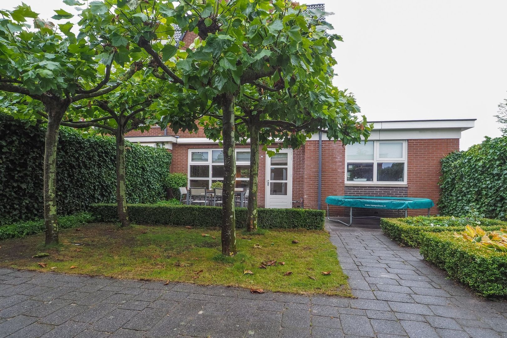 Kamgras, Houten foto-29