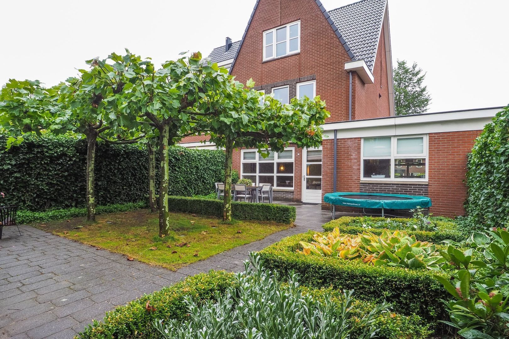 Kamgras, Houten foto-30