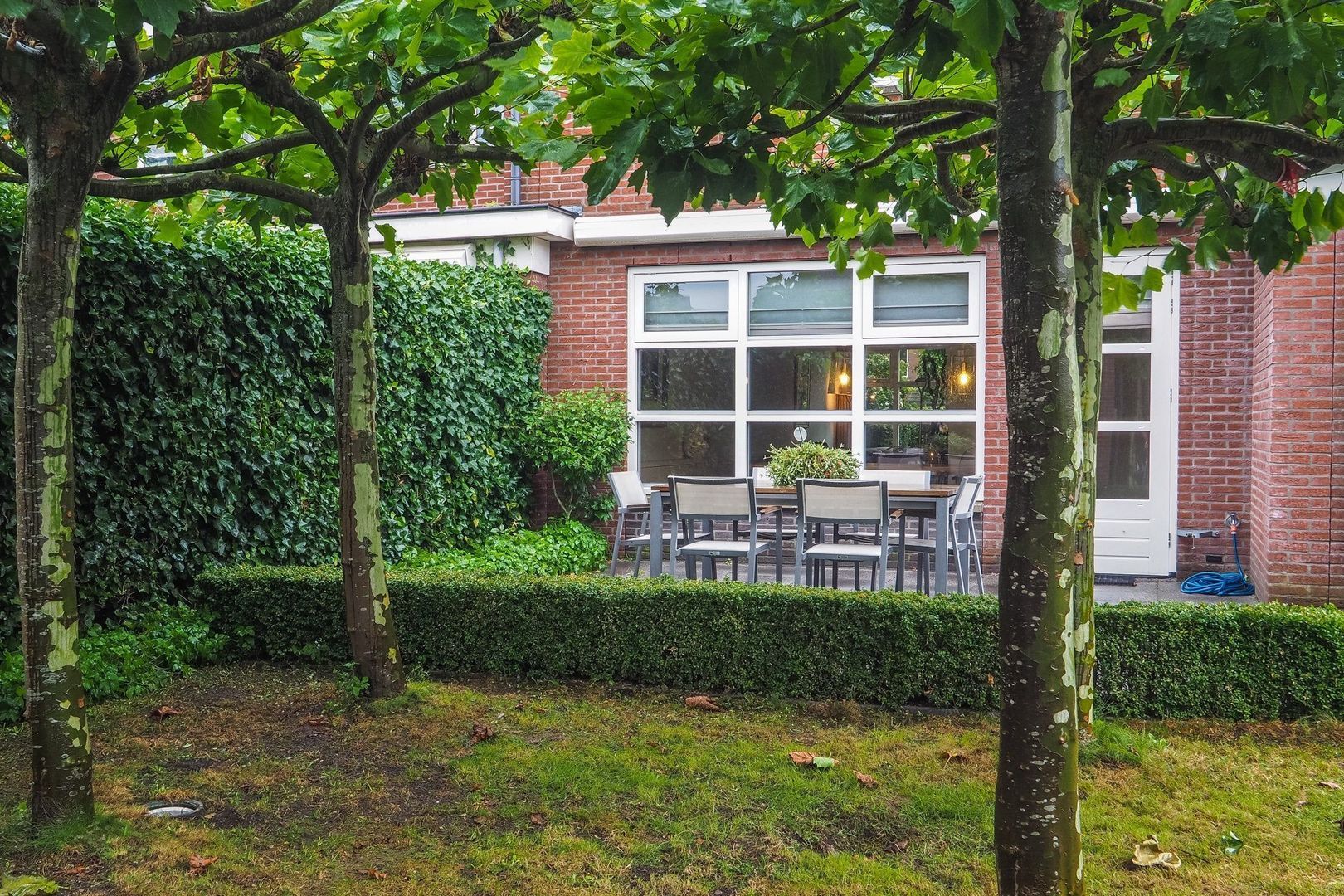 Kamgras, Houten foto-31