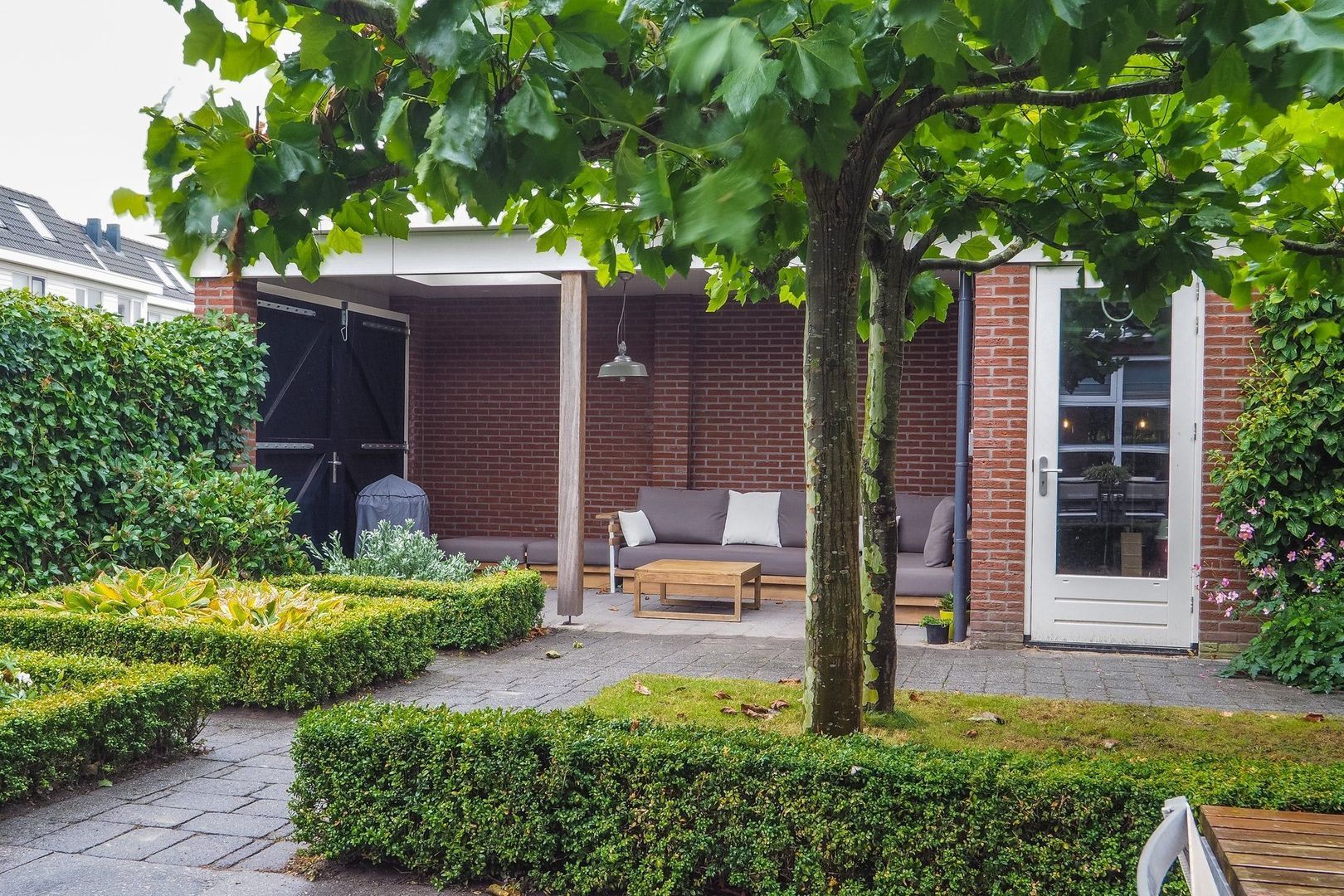 Kamgras, Houten foto-32