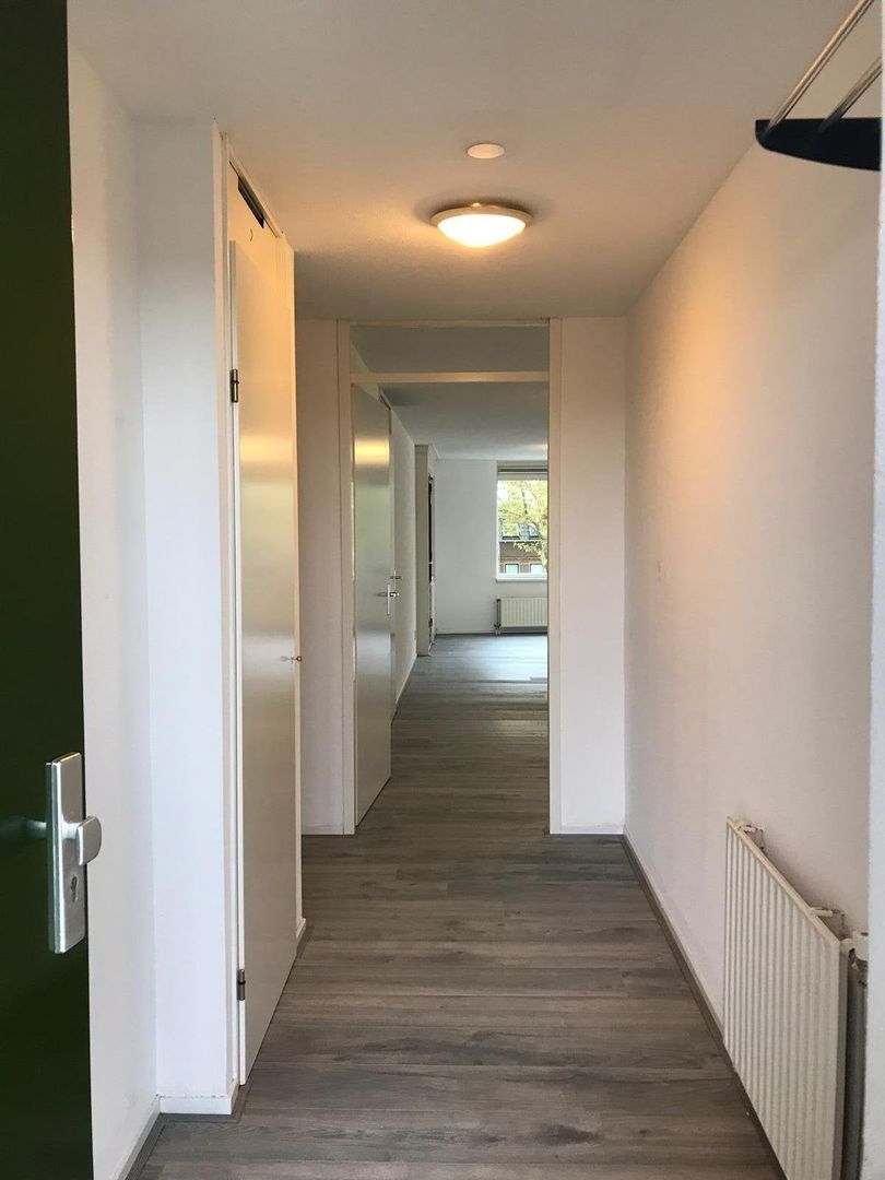 Molukkenstraat, Utrecht foto-1