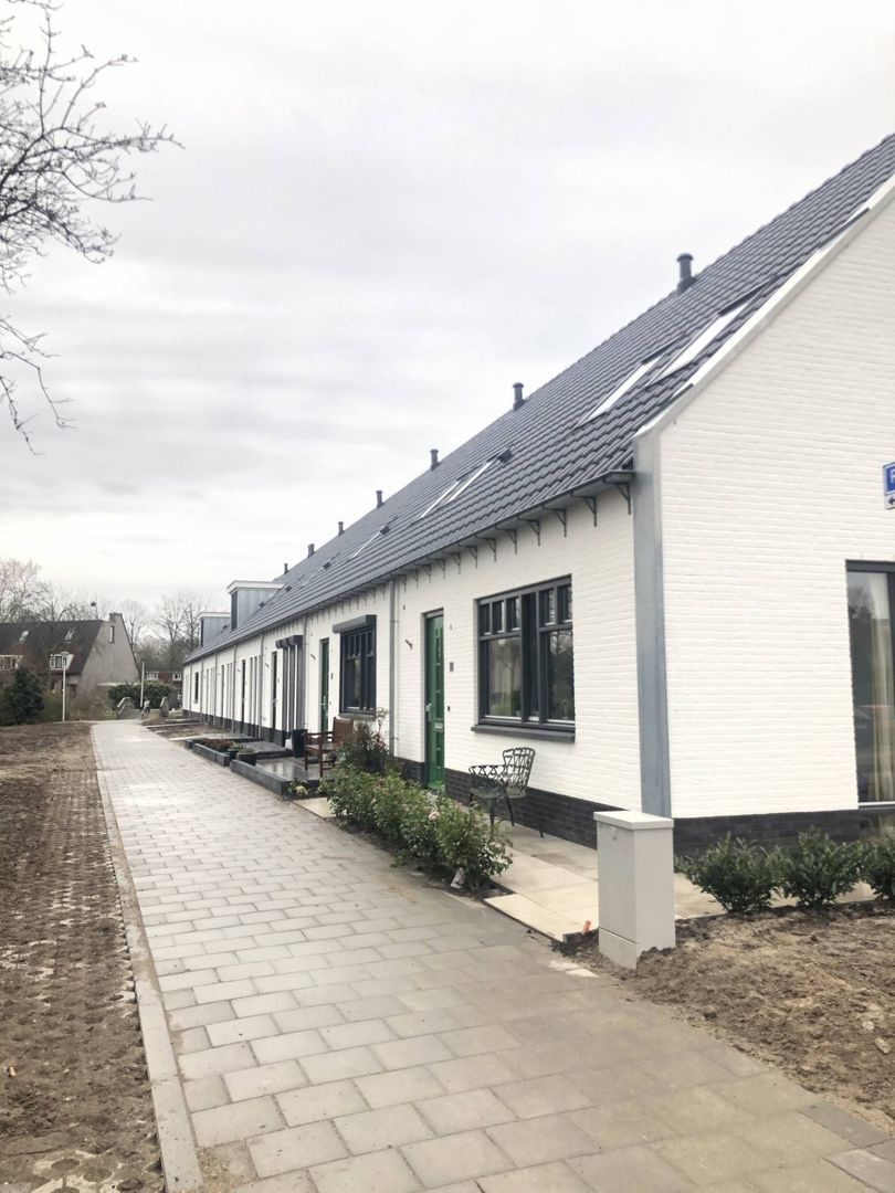 Roodborsthaag, Houten foto-0