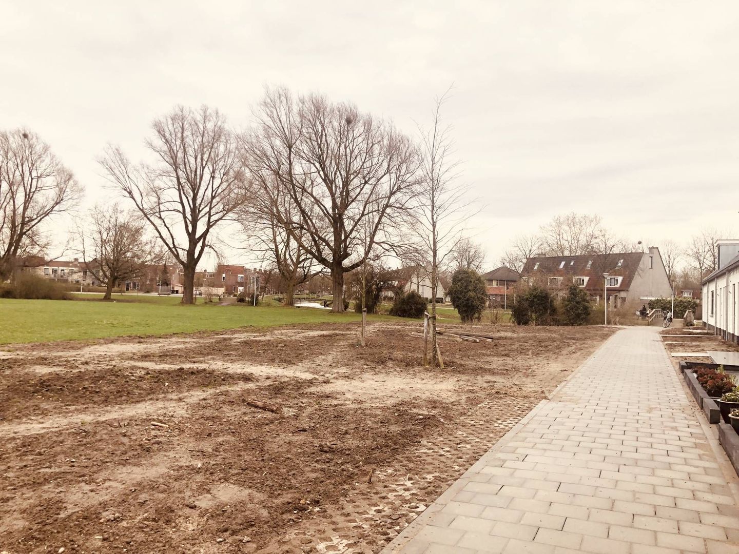 Roodborsthaag, Houten foto-8
