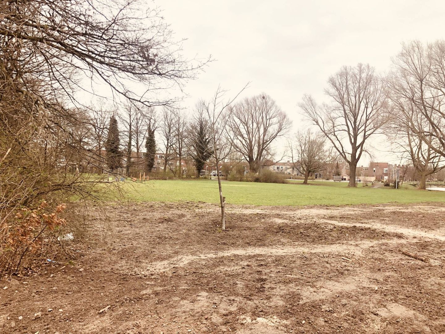 Roodborsthaag, Houten foto-10