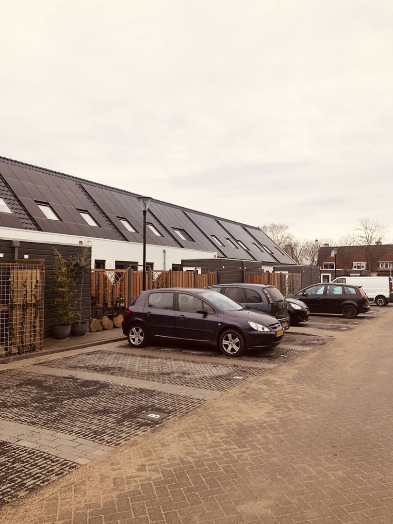 Roodborsthaag, Houten foto-12