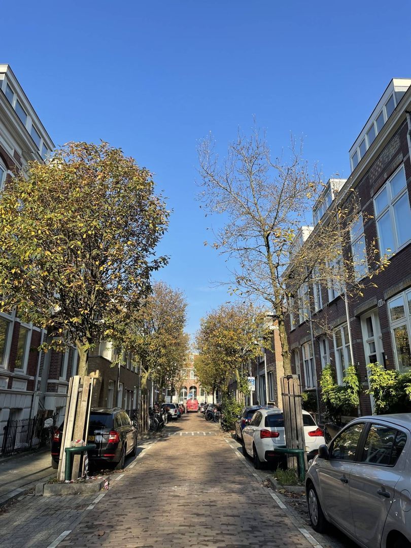 M.A. de Ruyterstraat, Utrecht foto-11