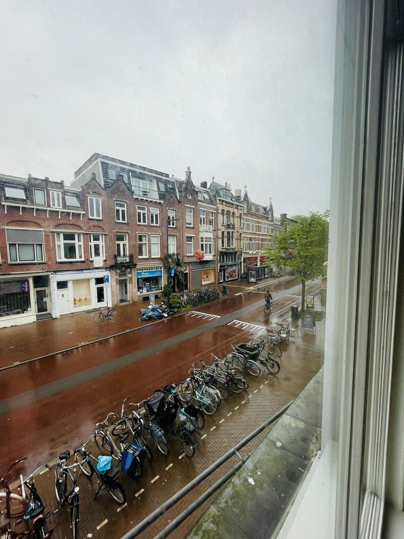 Nachtegaalstraat, Utrecht foto-6 blur