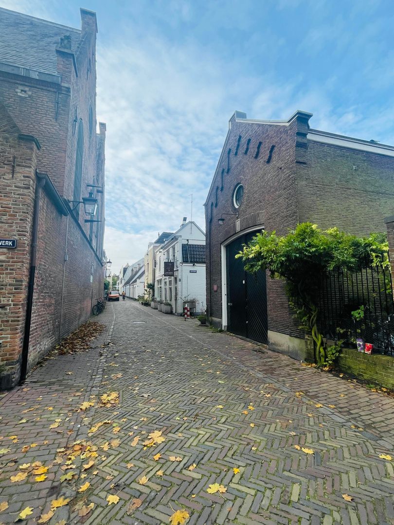 Achterom, Utrecht foto-28