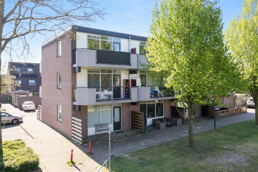 Hortensia 16, Veenendaal foto-small