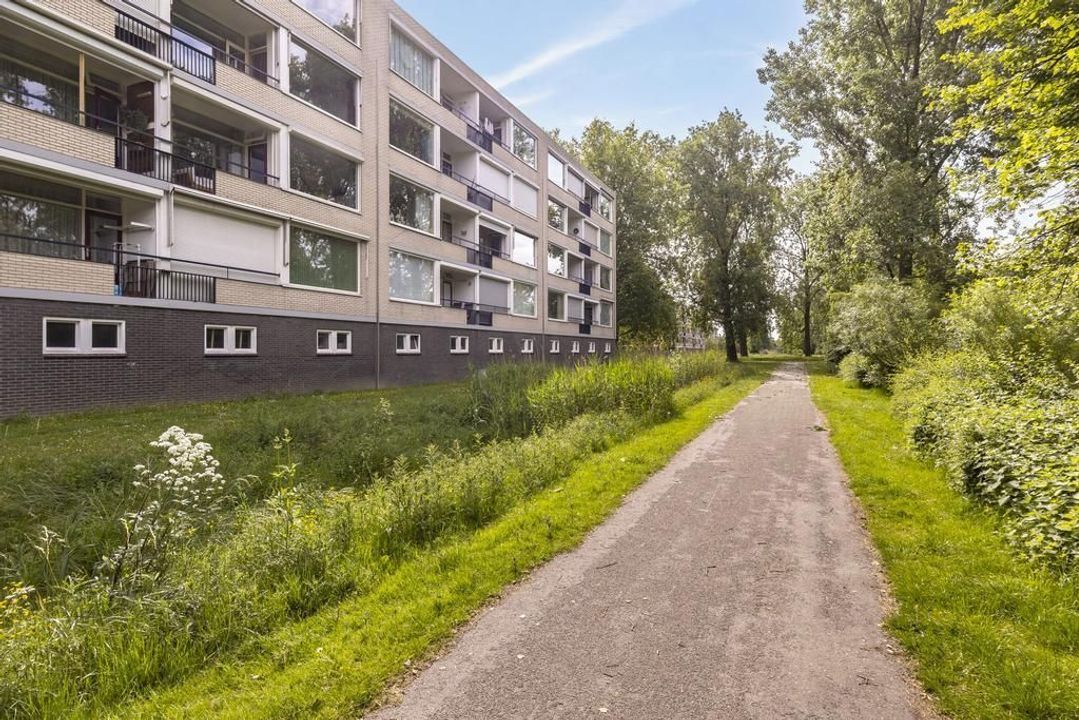 Middachtensingel 88, Arnhem foto-small
