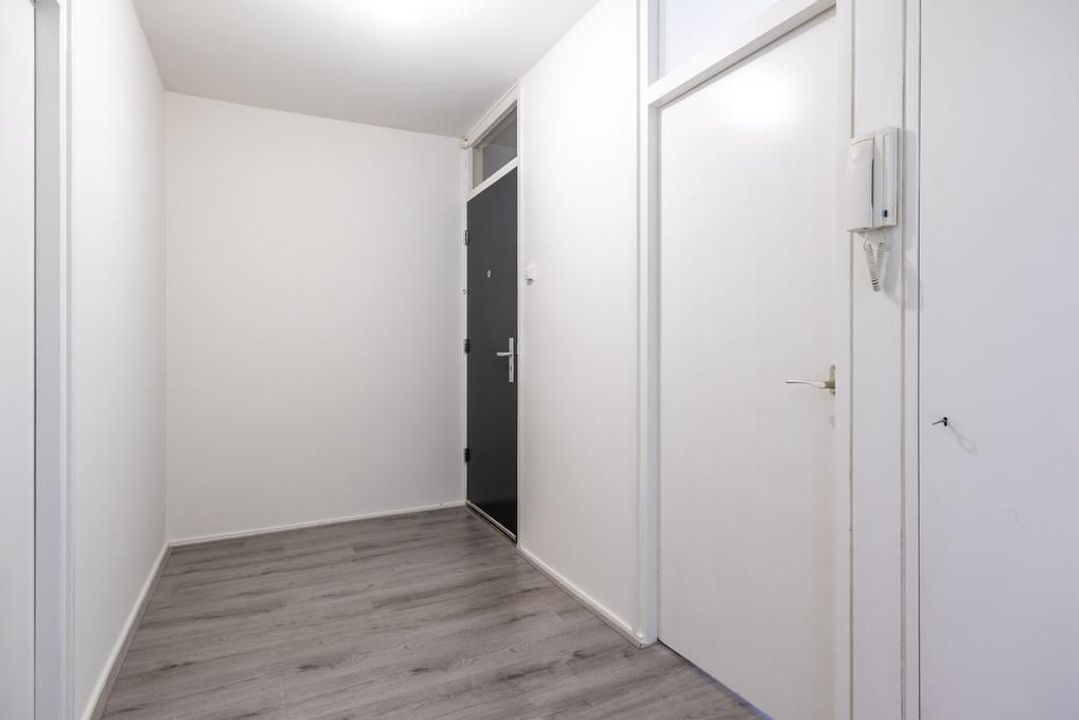 De Zoom 19, Ede foto-small