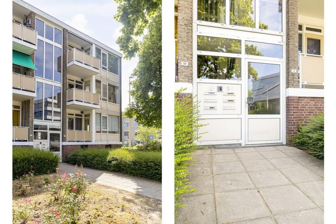 Singravenlaan 41 2, Arnhem foto-small