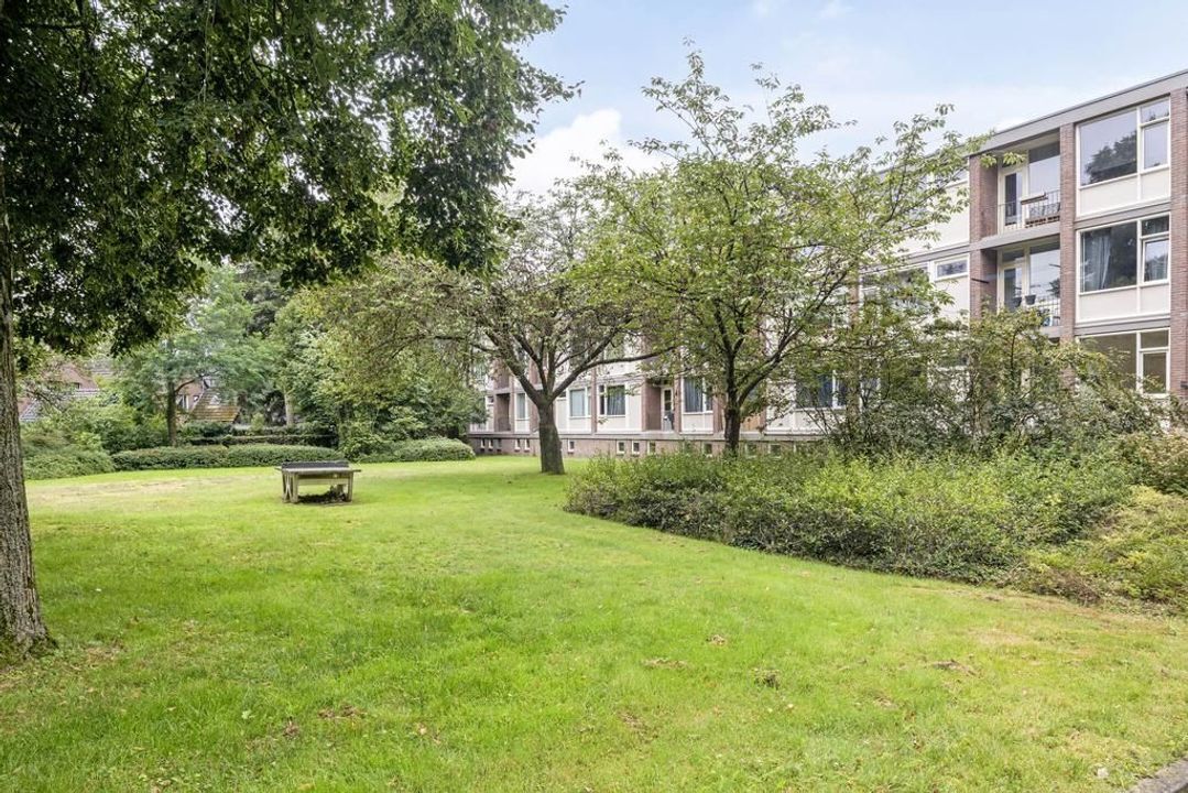 De Zoom 4, Ede foto-small