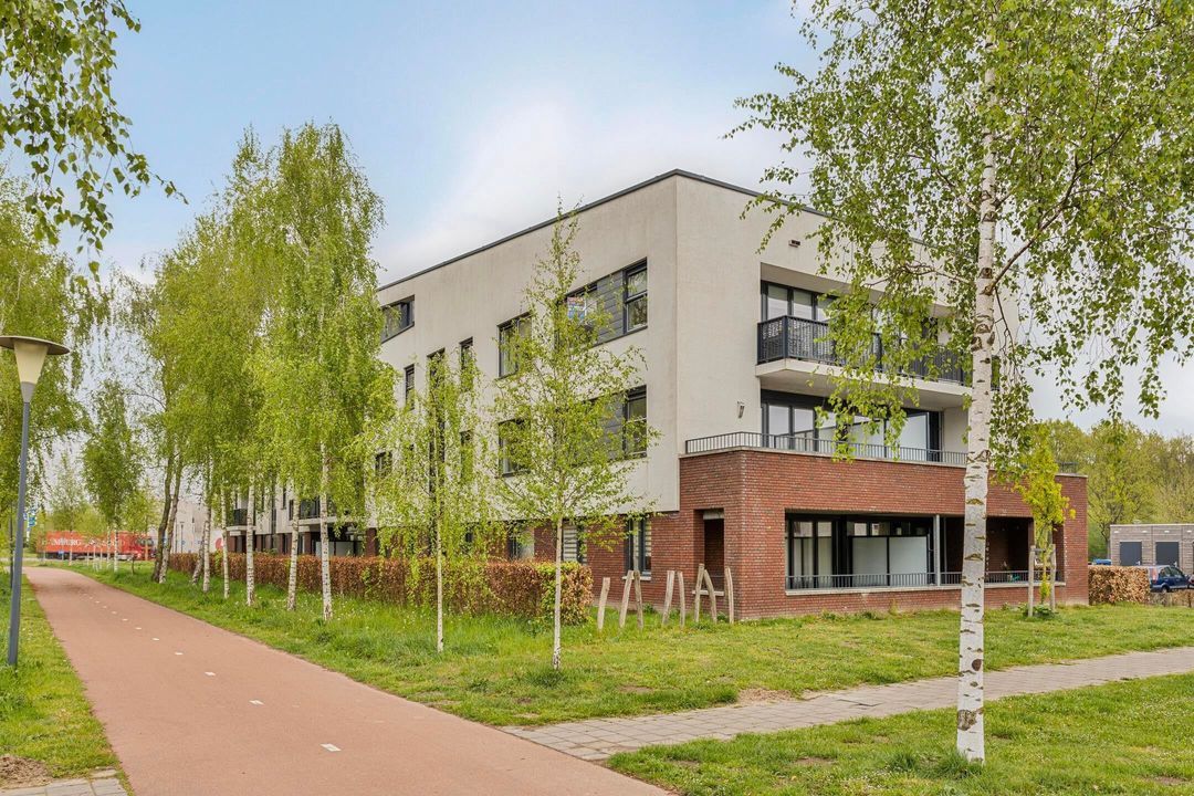 Ree, Veldhoven blur