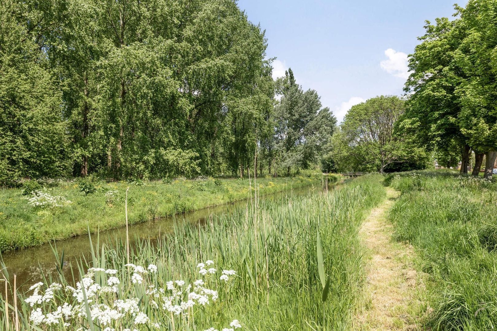 Tilanussingel 35, Pijnacker foto-27 blur