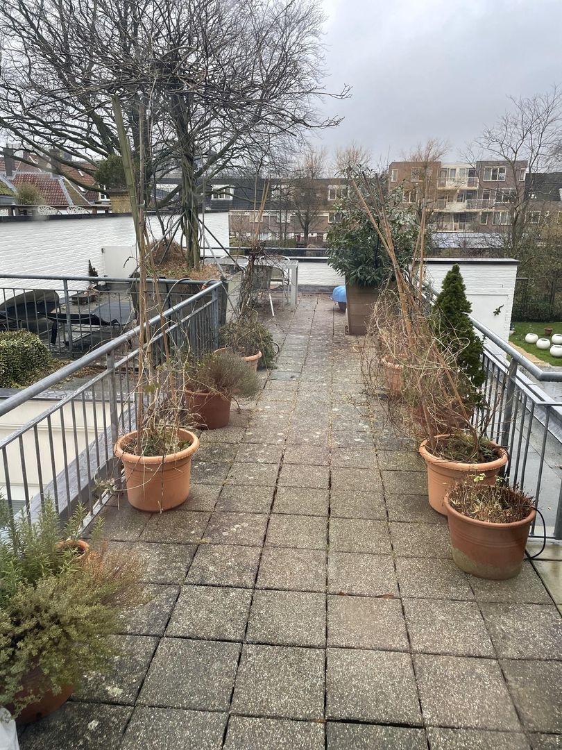 Rapenburg, Leiden foto-21