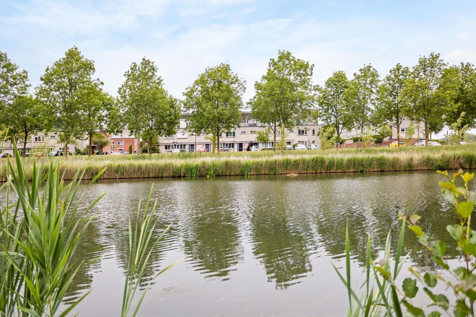 Pelschans 3, Zoetermeer foto-39