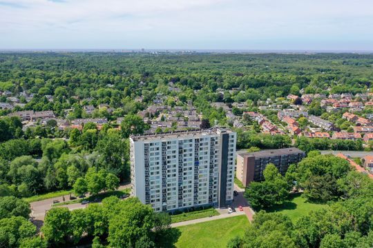 Van Leeuwenhoekstraat 5 0165, Haarlem