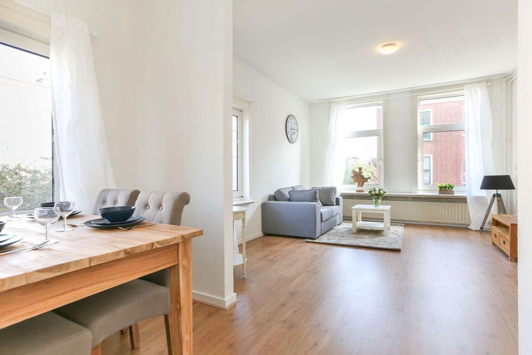 Appartement Rijklof van Goensstraat in Den Haag