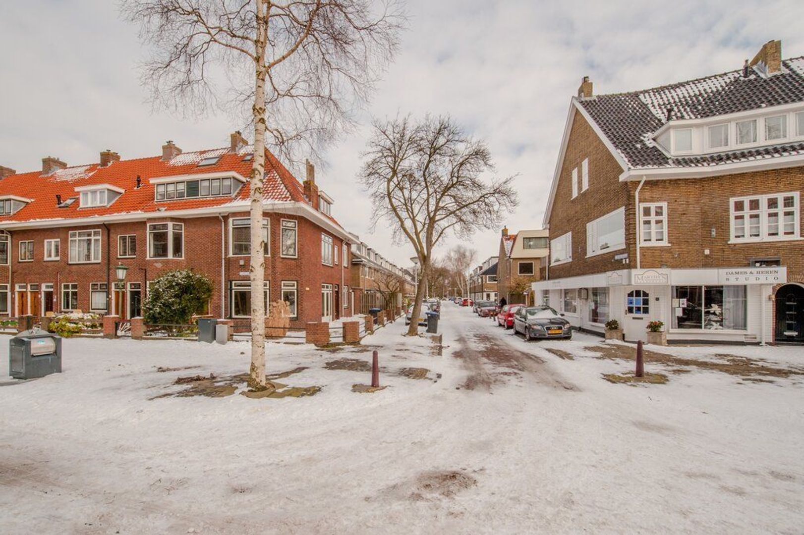 Hugo de Vriesstraat 65, Leiden foto-50 blur