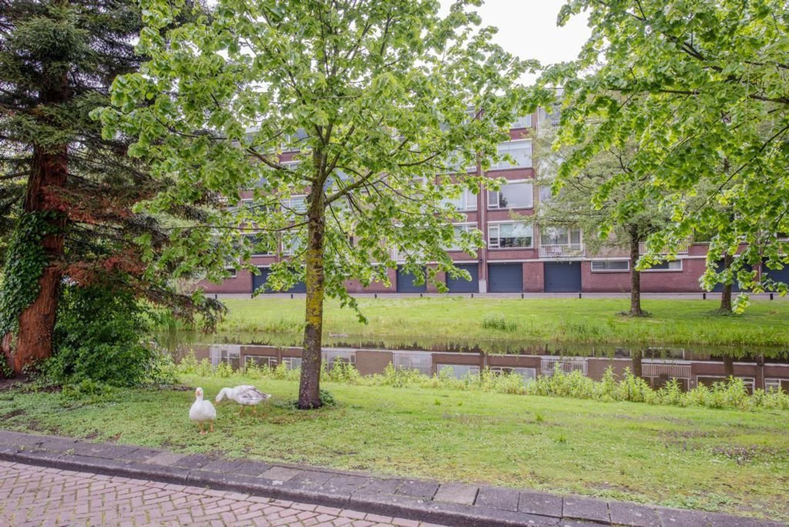 Mahlerstraat 38, Leiden foto-34 blur