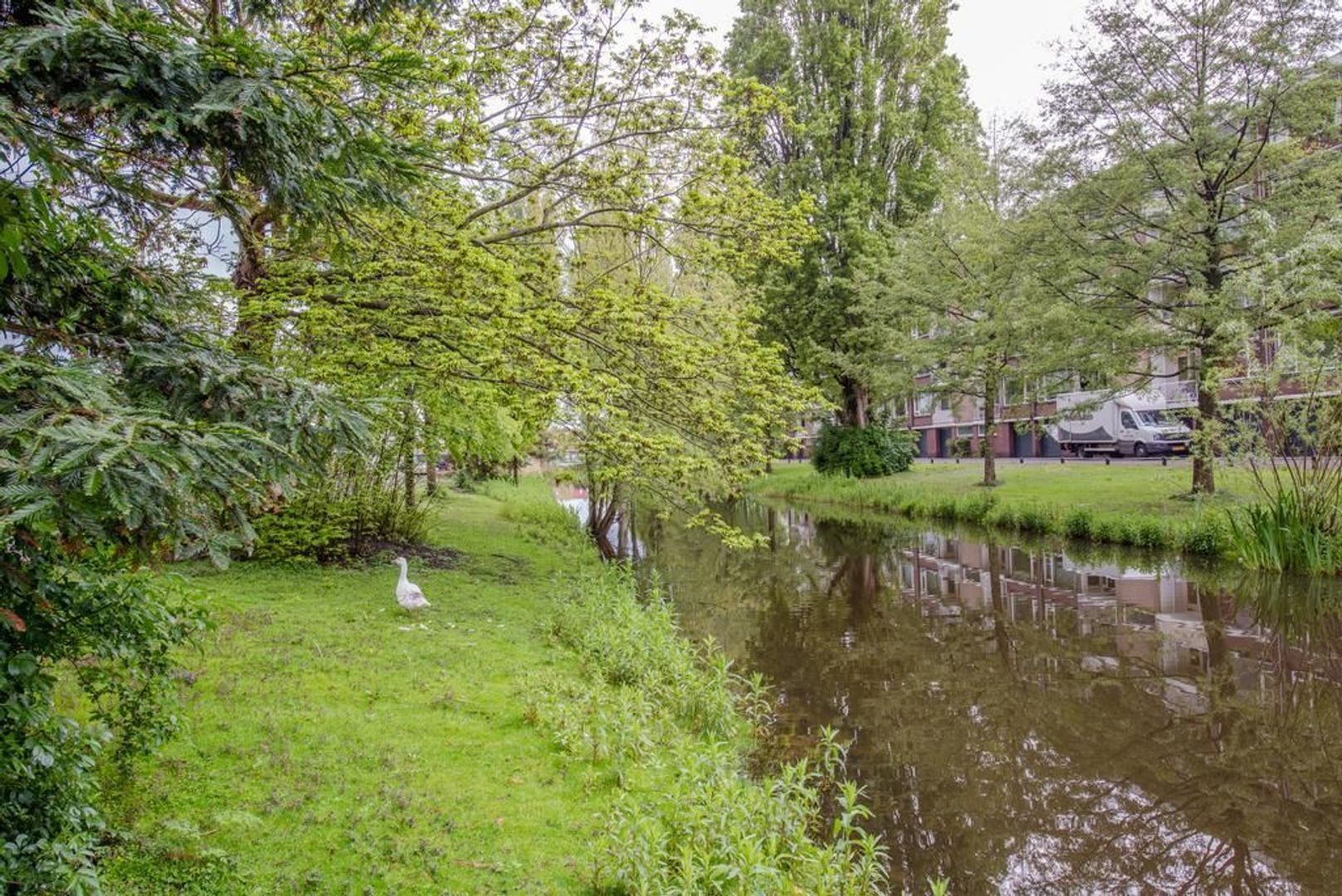 Mahlerstraat 38, Leiden foto-35 blur