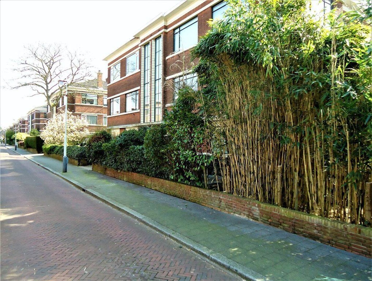 Van Neckstraat 9, Den Haag foto-26 blur