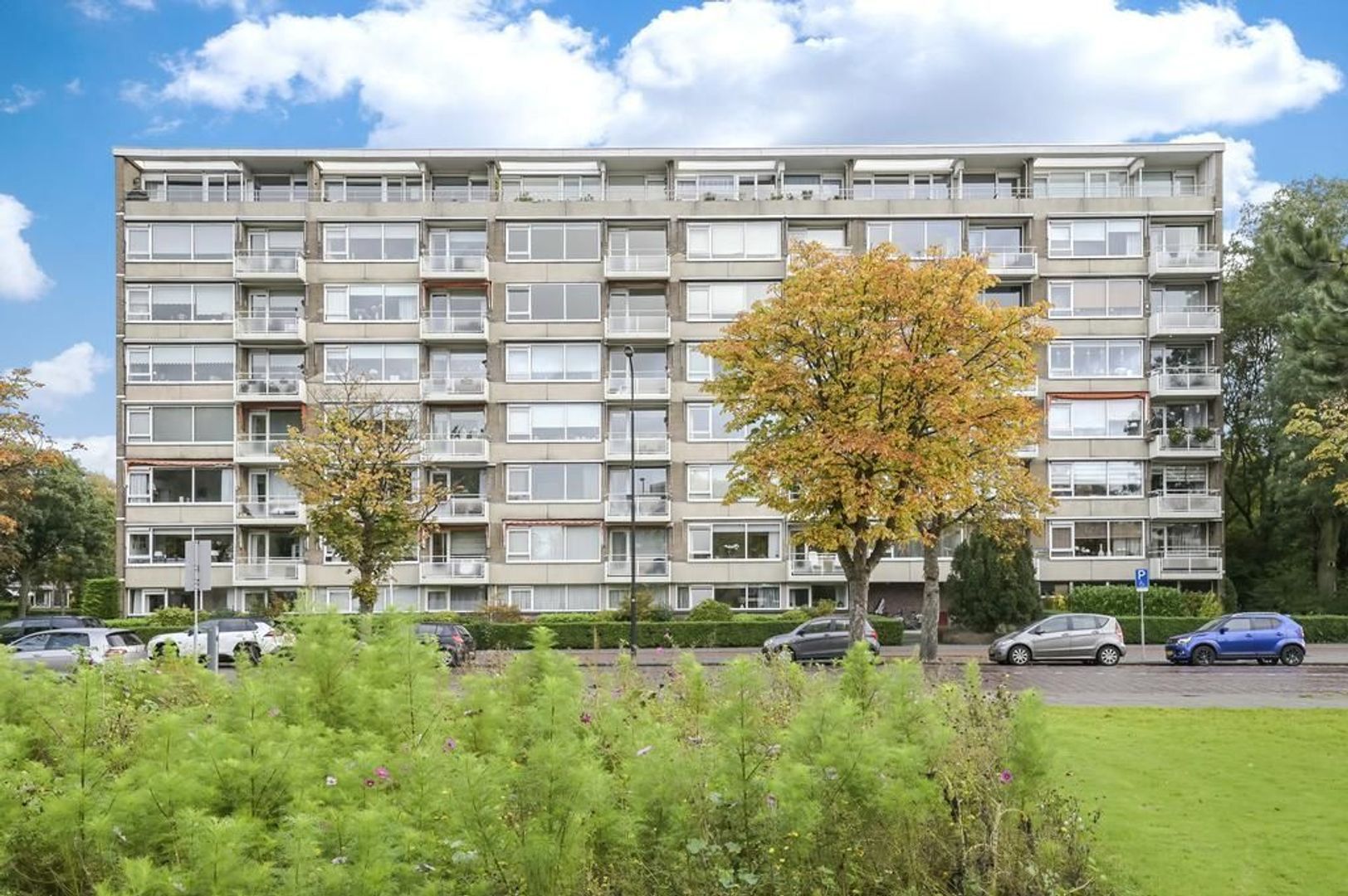 Steenvoordelaan 181, Rijswijk foto-29 blur