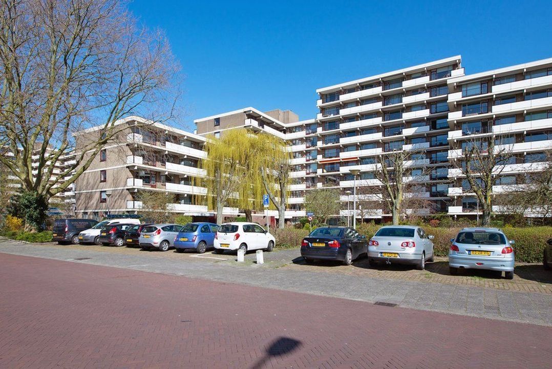 Hammarskjoldlaan 293, Rijswijk